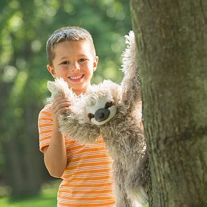 perezosos de peluche